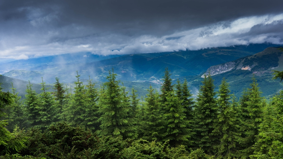 49 Sustainability Facts About Our Planet